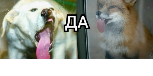 ПЁС да ЛИС | ДЛЯ НОВИЧКОВ | CLASSIC